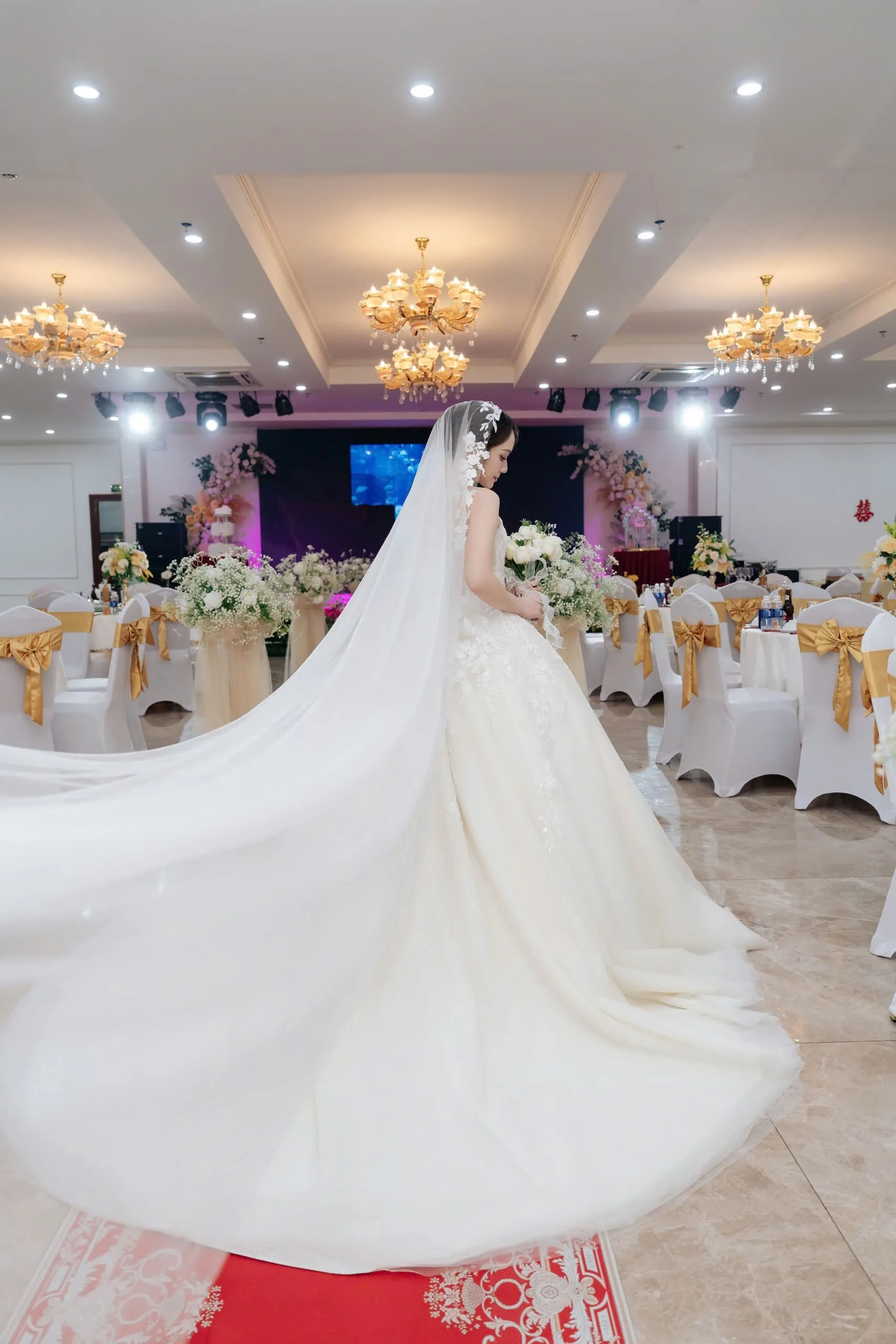 CD HẢI AN 8