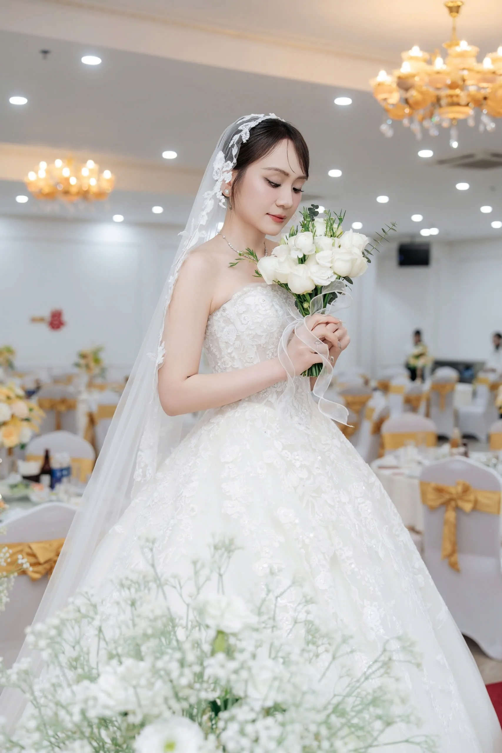 CD HẢI AN 13