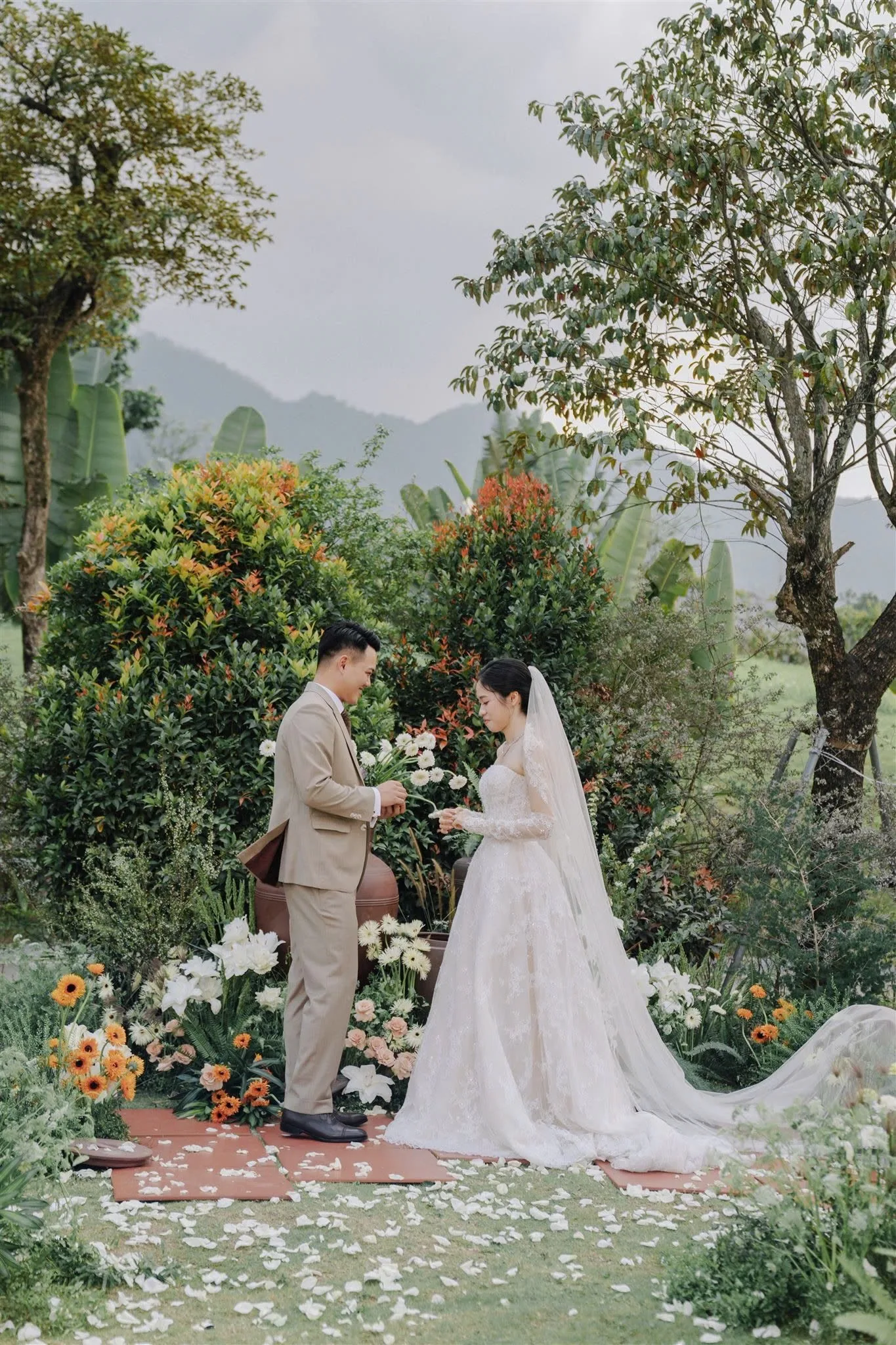 CD HẢI ANH 42